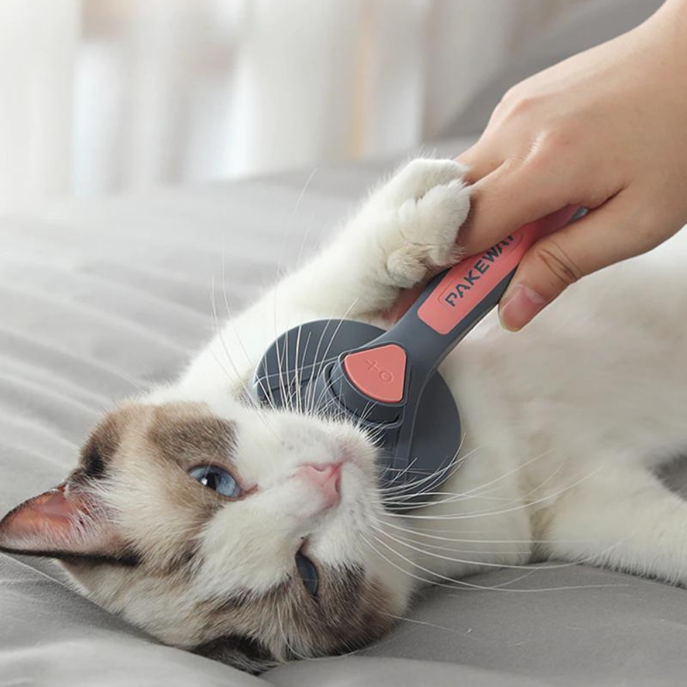 Premium Pet Brush™ | Pijnloos en heerlijk masserend